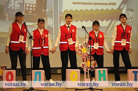 Добрые сердцем. В Вороново прошел первый районный конкурс волонтерских инициатив