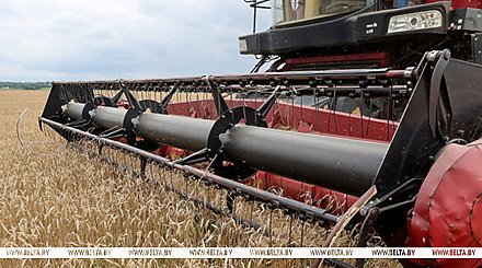 Почти 10,5 млн тонн зерна с учетом рапса и кукурузы собрано в Беларуси