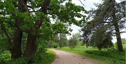 В 11 районах Гродненской области действуют запреты и ограничения на посещение лесов