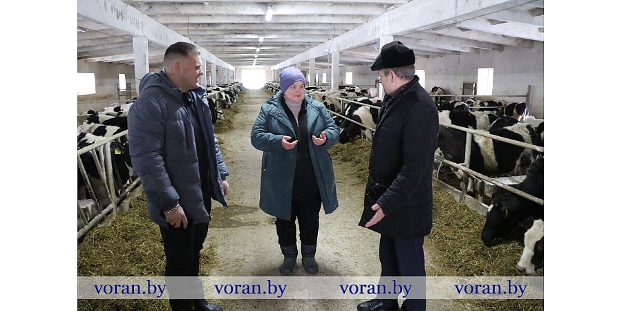 «ГМК-Агро»: с расчетом на достойные привесы