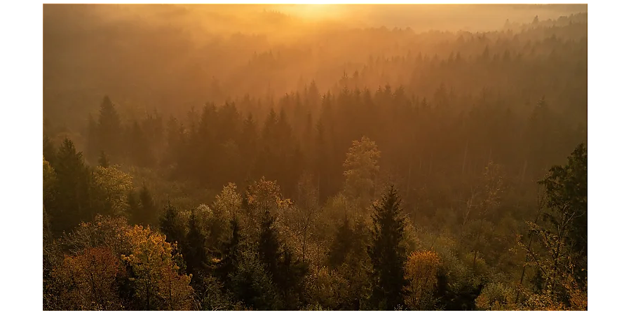 Народный календарь на 28 июня: что можно и нельзя делать, приметы и праздники