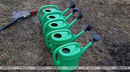 Минфин установил порядок перечисления денег, заработанных на республиканском субботнике