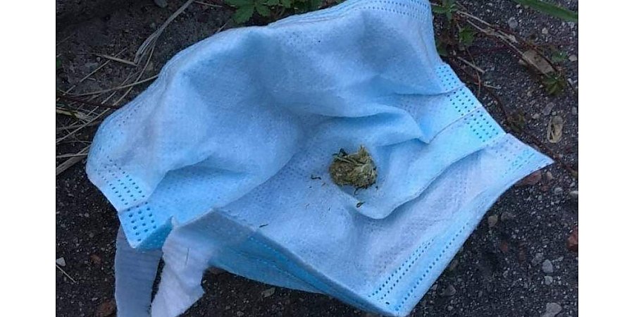 В Гродно задержаны распространители наркотиков