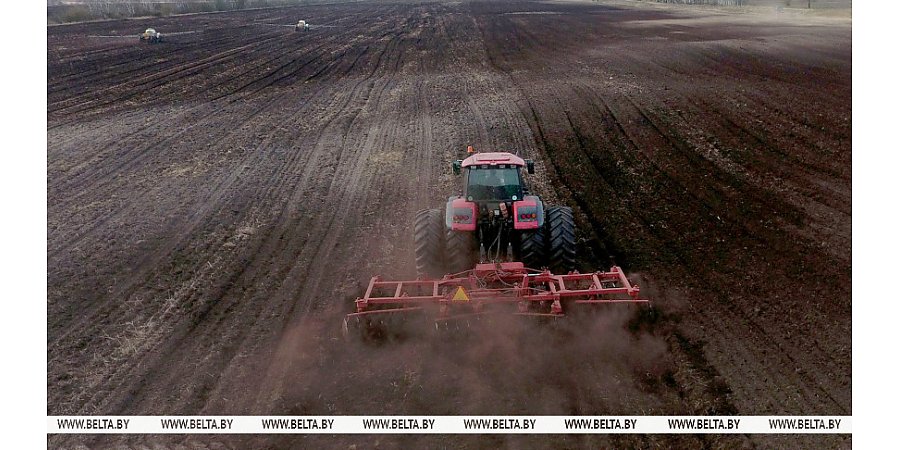 В Беларуси завершили посадку картофеля