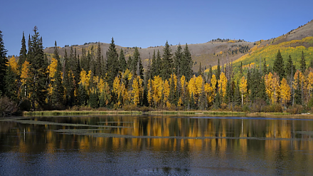Народные приметы на 21 сентября: что можно и нельзя делать в этот день