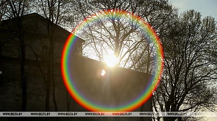В Беларуси к концу недели станет теплее