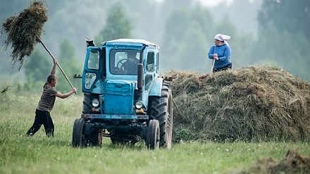 Народные приметы на 10 июля: что можно и нельзя делать в этот день