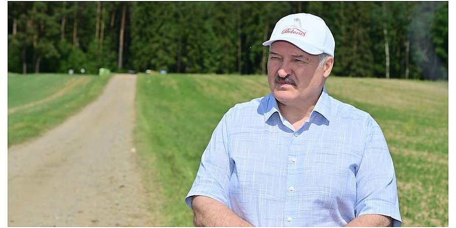 Переломный момент в сельском хозяйстве. Какой сельхозкультуре Александр Лукашенко уделяет особое внимание