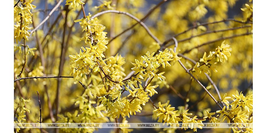 В Белгидромете рассказали, каких климатических потрясений белорусам стоит опасаться