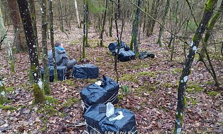 На границе с Литвой со стрельбой задержали контрабандиста