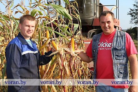 Дотишских аграриев сентябрьские заботы