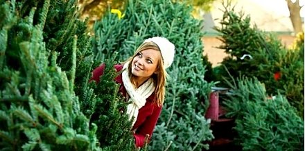 Навагодняя госця ўжо ў дарозе