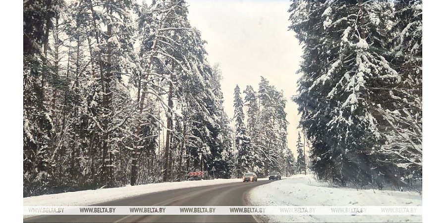 Снег с дождем и до +2°С. Какой будет погода в Беларуси сегодня