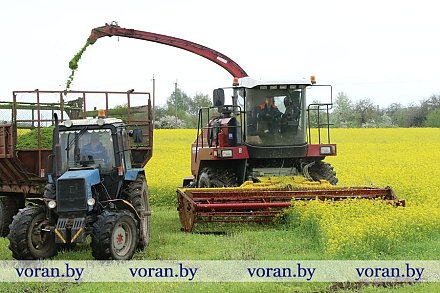 Завершающие аккорды первой косовицы 