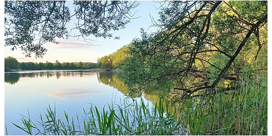 С начала года на водоемах Гродненской области погибли 15 человек