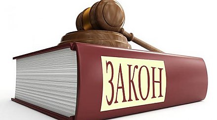 КоАП Беларуси дополнен новыми статьями: за что надо будет нести ответственность?