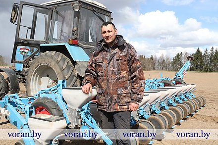 Свекла в землю легла: КСУП «Мисевичи» сеют сахарную свеклу