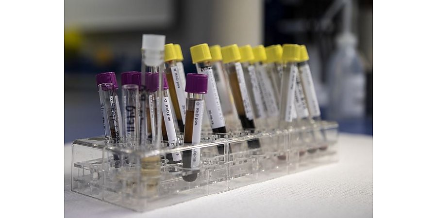 За сутки в Беларуси зарегистрированы 1279 пациентов с COVID-19, выписаны 1444