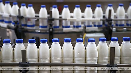 Польская молочная промышленность находится на грани катастрофы