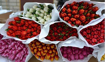 Цветы нарасхват. Планируете накануне 8 Марта торговать цветами – уплатите единый налог