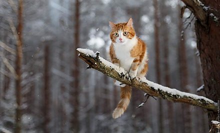 Мокрый снег и гололедица. Какой будет погода 14 декабря?