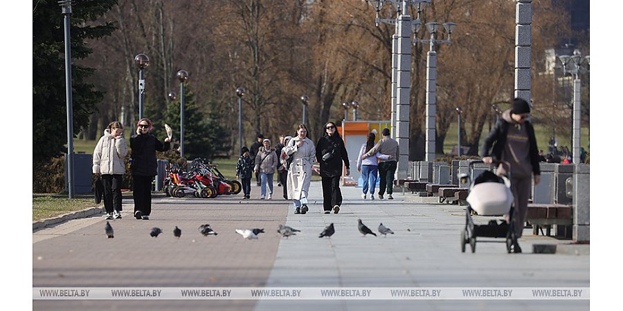 В Беларуси на 1 января 2024 года проживало около 9,15 млн человек