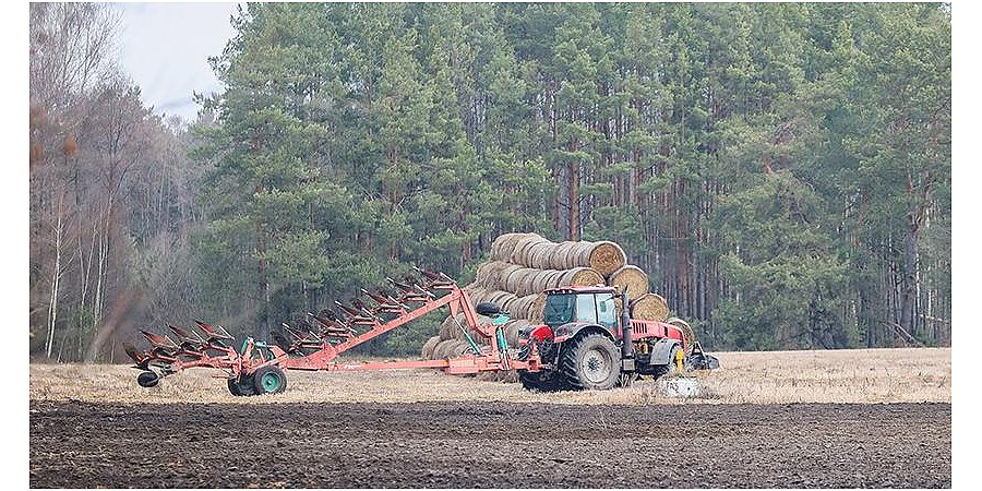 В Беларуси приступили к севу льна-долгунца