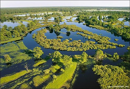 2 февраля - Всемирный день водно-болотных угодий