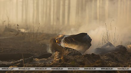 Два вертолета авиации МЧС Беларуси помогают тушить лесные пожары в Турции