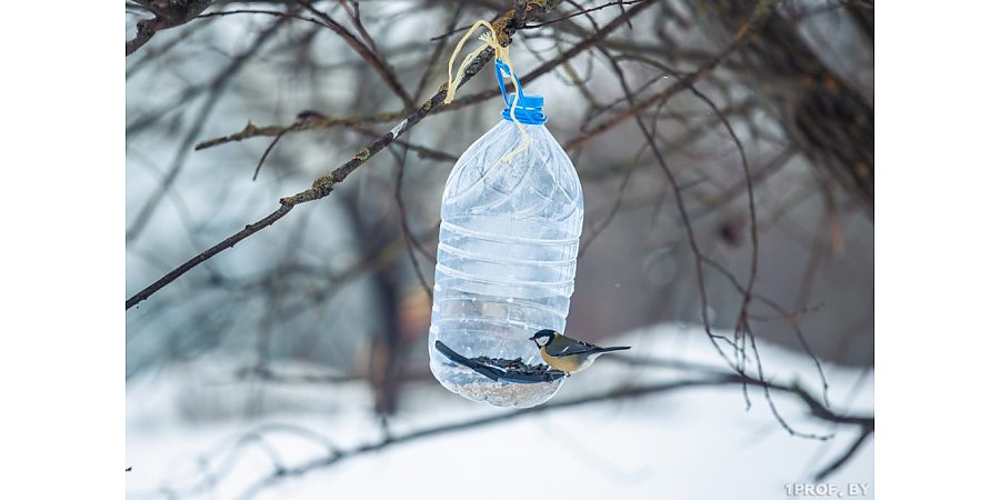 Мягкая снежная зима. Какой будет погода в Беларуси с 22 по 28 января