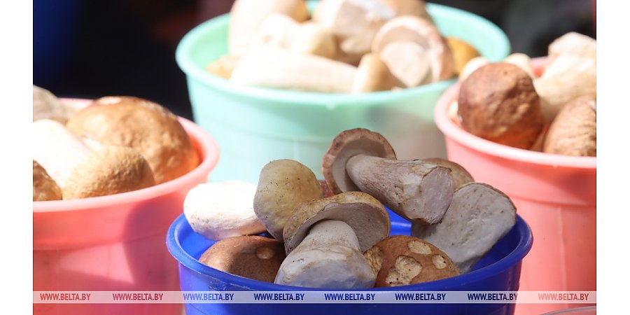 В каком случае необходимо платить налоги после продажи грибов и ягод?