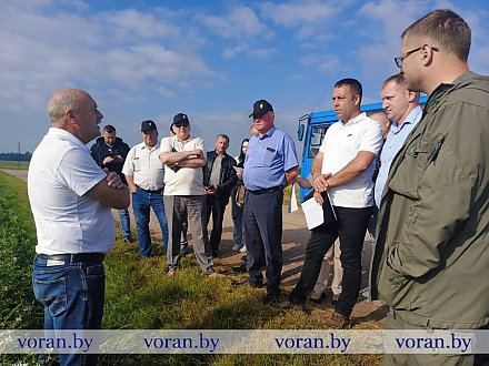 В Вороновском районе проходит взаимосмотр посевов между сельхозпредприятиями района