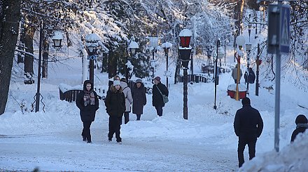 Минздрав рассказал, какие вирусы сейчас вызывают заболеваемость ОРИ