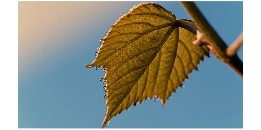 Почему в этот день ждали дежавю: народные приметы на 30 октября 