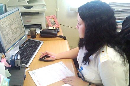 Электронное декларирование