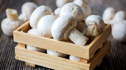 МАРТ расширил ассортиментные перечни товаров для магазинов. Добавлены гематоген, кукурузный крахмал, свежие шампиньоны