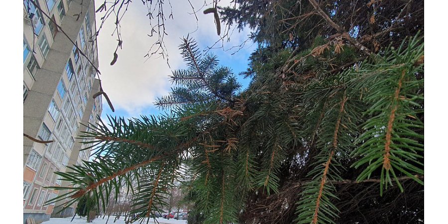 Оранжевый уровень опасности из-за морозов объявлен в Беларуси на 8 января