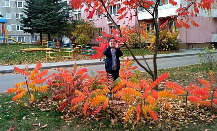 В Беларуси побит осенний температурный рекорд. До скольких градусов подскочил столбик термометра?