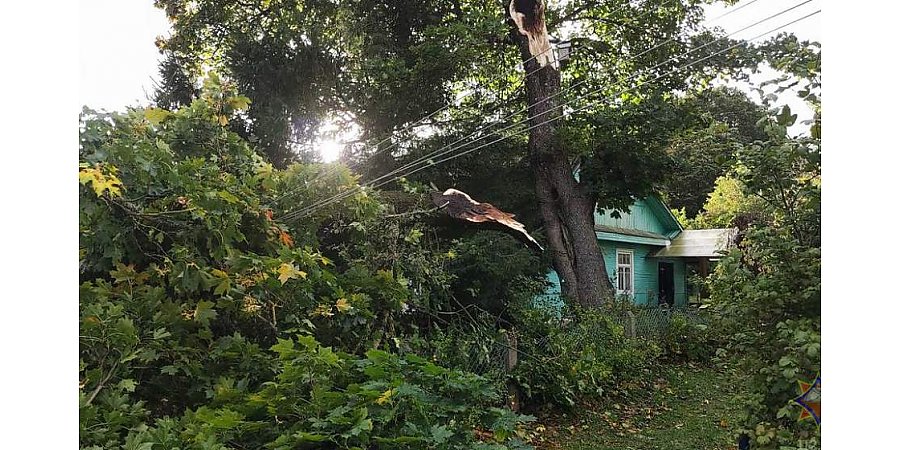 На Гродненщине ликвидированы последствия урагана – в 275 деревнях временно отсутствовало электроснабжение