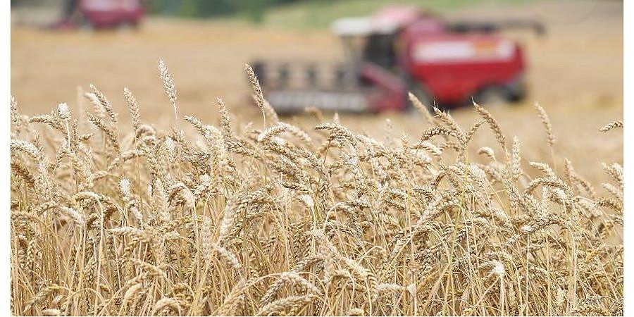 Уборочная на контроле даже в День знаний - Александр Лукашенко начал визит в Бобруйск с доклада губернатора