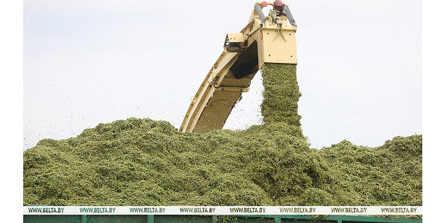 В Беларуси заготовлено около 60% трав первого укоса