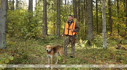 Загонная охота на копытных начинается с 1 октября