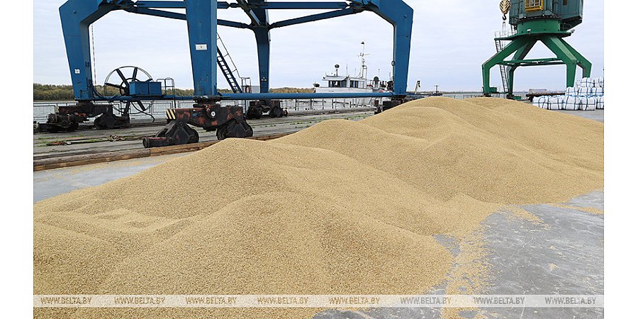 Россия заявила о готовности полностью заместить украинское зерно