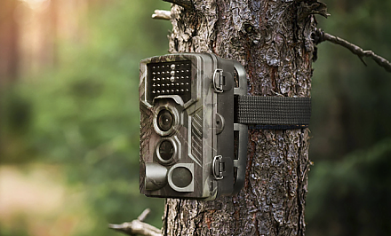 В Гродненской области неправильное обращение с отходами теперь фиксируют фотоловушки