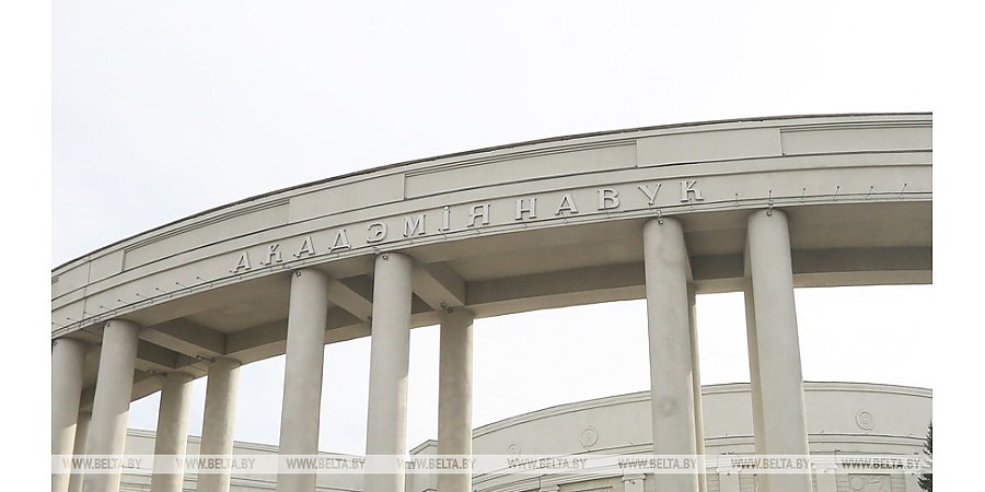 В НАН подвели итоги посвященного Году народного единства конкурса творческих работ