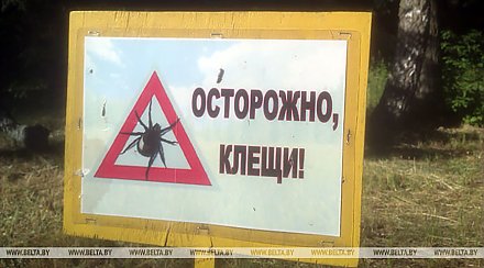 Всплеск активности клещей ожидается к концу лета - Минздрав