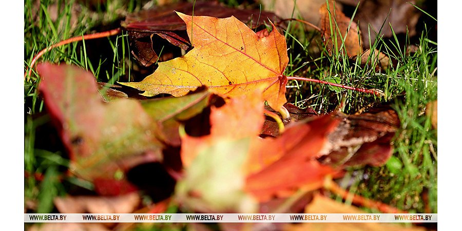 Облачно и без осадков будет сегодня в Беларуси