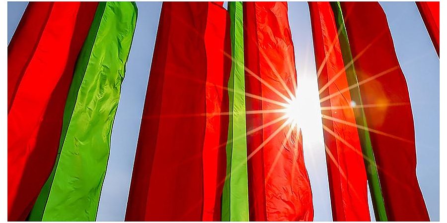 Александр Лукашенко не сомневается, что кампания по выборам в Беларуси пройдет хорошо