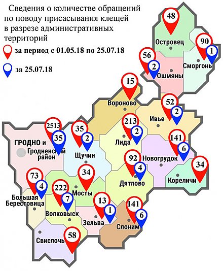 С начала мая в области по поводу укусов клещей обратились 3830 человек, в том числе вчера, 25 июля, – 72 человека