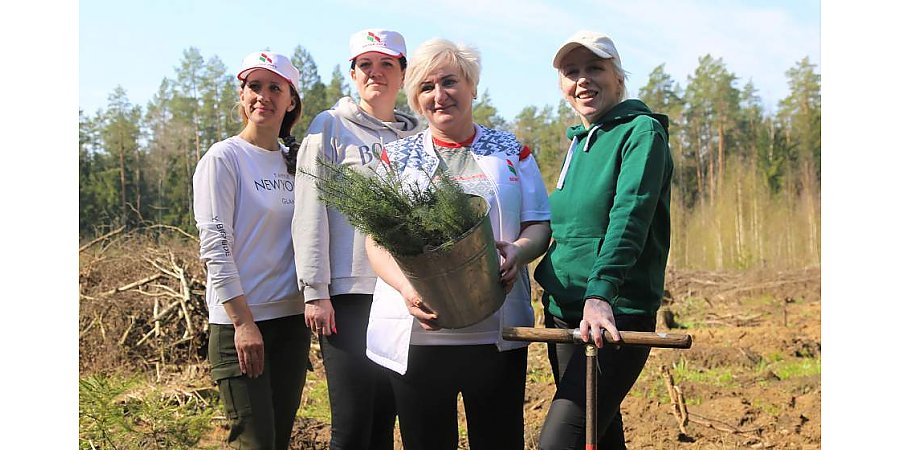 Гродненская областная организация РОО «Белая Русь» присоединилась к акции «Неделя леса»